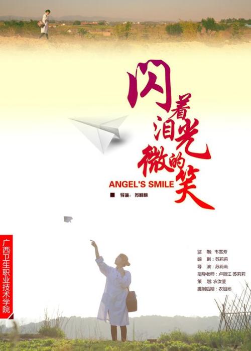 买假兴业银行流水
